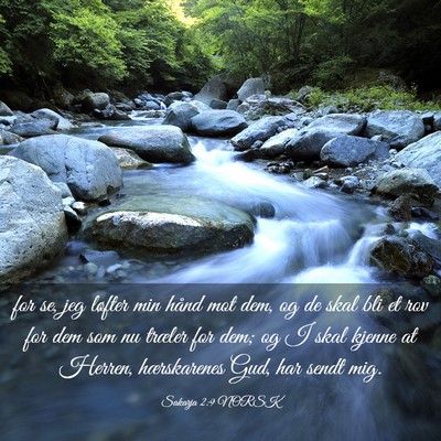 Picture 03 - Sakarja 2:9 NORSK - for se, jeg løfter min hånd mot dem, og de skal - Bible Verse Picture