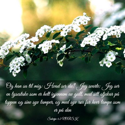 Picture 03 - Sakarja 4:2 NORSK - Og han sa til mig: Hvad ser du? Jeg svarte: Jeg - Bible Verse Picture