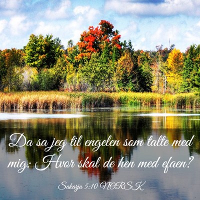 Picture 03 - Sakarja 5:10 NORSK - Da sa jeg til engelen som talte med mig: Hvor - Bible Verse Picture