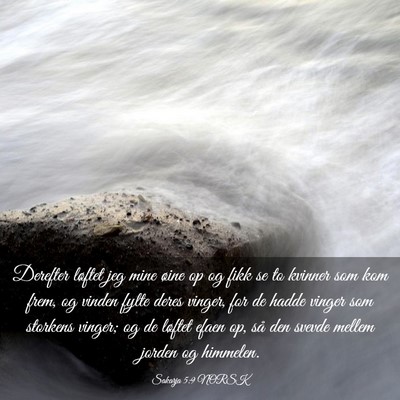 Picture 03 - Sakarja 5:9 NORSK - Derefter løftet jeg mine øine op og fikk se to - Bible Verse Picture