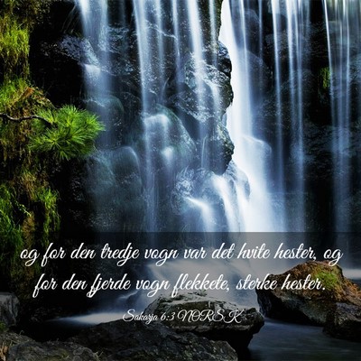 Picture 03 - Sakarja 6:3 NORSK - og for den tredje vogn var det hvite hester, og - Bible Verse Picture