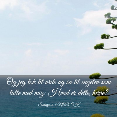 Picture 03 - Sakarja 6:4 NORSK - Og jeg tok til orde og sa til engelen som talte - Bible Verse Picture