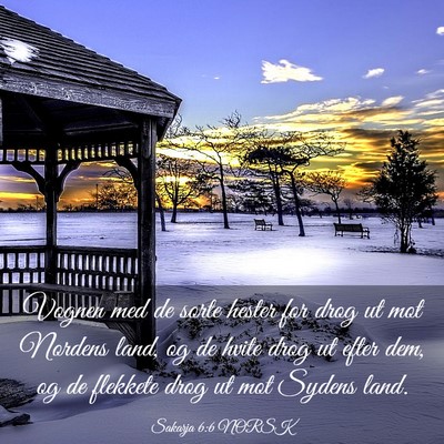 Picture 03 - Sakarja 6:6 NORSK - Vognen med de sorte hester for drog ut mot - Bible Verse Picture
