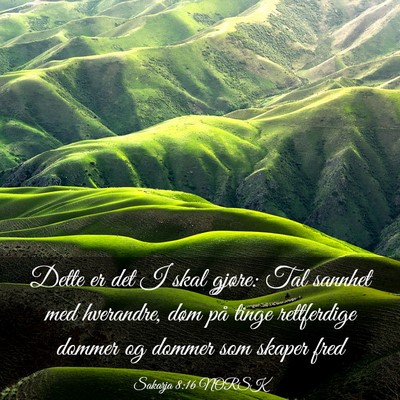 Picture 03 - Sakarja 8:16 NORSK - Dette er det I skal gjøre: Tal sannhet med - Bible Verse Picture