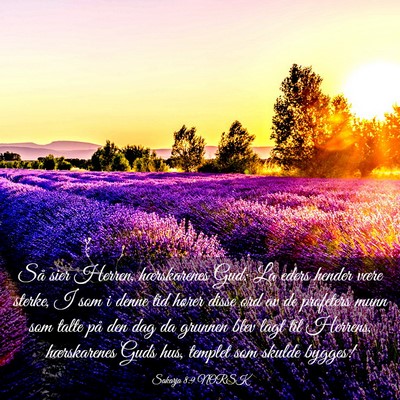 Picture 03 - Sakarja 8:9 NORSK - Så sier Herren, hærskarenes Gud: La eders - Bible Verse Picture