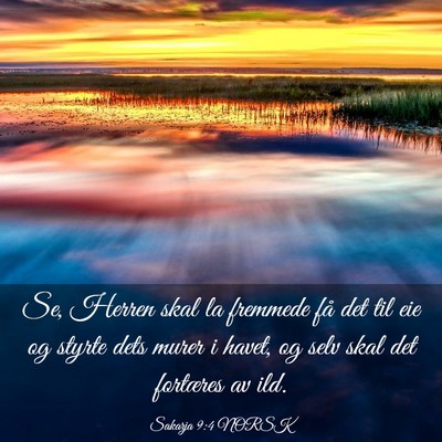 Picture 03 - Sakarja 9:4 NORSK - Se, Herren skal la fremmede få det til eie og - Bible Verse Picture