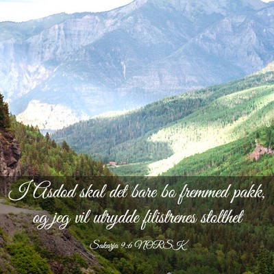 Picture 03 - Sakarja 9:6 NORSK - I Asdod skal det bare bo fremmed pakk, og jeg vil - Bible Verse Picture