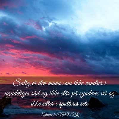 Picture 03 - Salmene 1:1 NORSK - Salig er den mann som ikke vandrer i ugudeliges - Bible Verse Picture