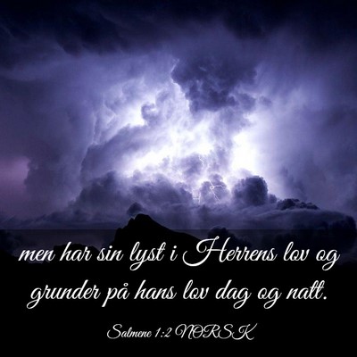 Picture 03 - Salmene 1:2 NORSK - men har sin lyst i Herrens lov og grunder på - Bible Verse Picture