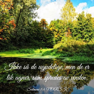 Picture 03 - Salmene 1:4 NORSK - Ikke så de ugudelige, men de er lik agner, som - Bible Verse Picture