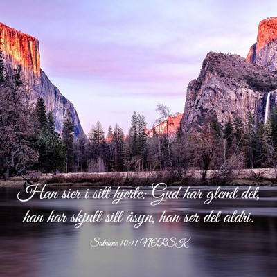 Picture 03 - Salmene 10:11 NORSK - Han sier i sitt hjerte: Gud har glemt det, han - Bible Verse Picture