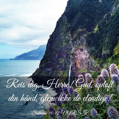 Picture 03 - Salmene 10:12 NORSK - Reis dig, Herre! Gud, opløft din hånd, glem - Bible Verse Picture