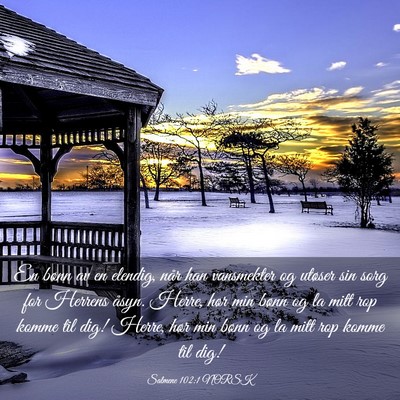 Picture 03 - Salmene 102:1 NORSK - En bønn av en elendig, når han vansmekter og - Bible Verse Picture