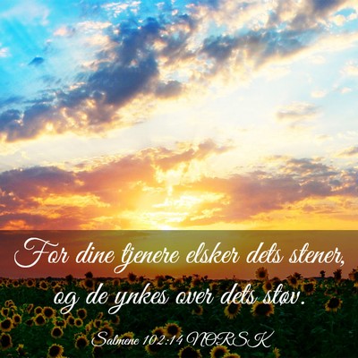 Picture 03 - Salmene 102:14 NORSK - For dine tjenere elsker dets stener, og de ynkes - Bible Verse Picture