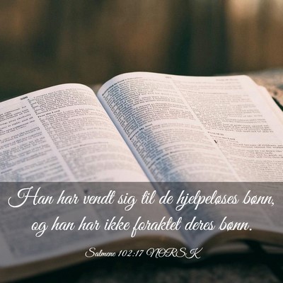 Picture 03 - Salmene 102:17 NORSK - Han har vendt sig til de hjelpeløses bønn, og - Bible Verse Picture