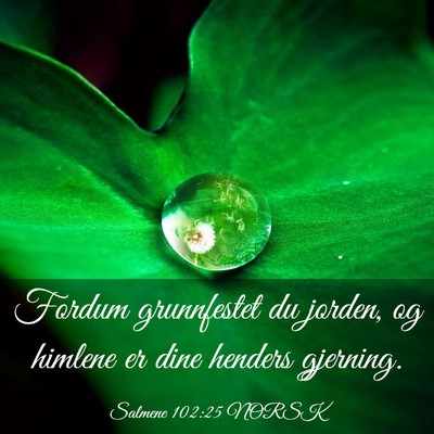 Picture 03 - Salmene 102:25 NORSK - Fordum grunnfestet du jorden, og himlene er dine - Bible Verse Picture