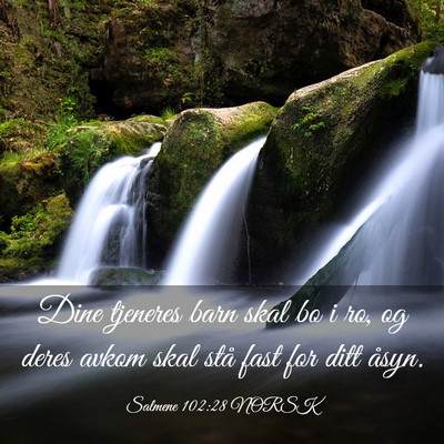 Picture 03 - Salmene 102:28 NORSK - Dine tjeneres barn skal bo i ro, og deres avkom - Bible Verse Picture