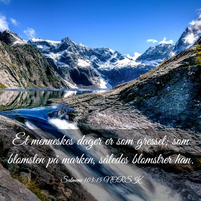 Picture 03 - Salmene 103:15 NORSK - Et menneskes dager er som gresset; som blomsten - Bible Verse Picture
