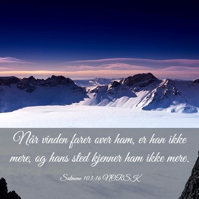 Picture 03 - Salmene 103:16 NORSK - Når vinden farer over ham, er han ikke mere, og - Bible Verse Picture