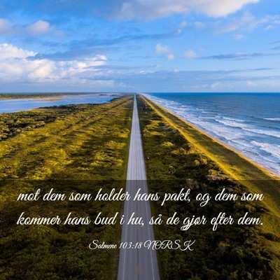 Picture 03 - Salmene 103:18 NORSK - mot dem som holder hans pakt, og dem som kommer - Bible Verse Picture