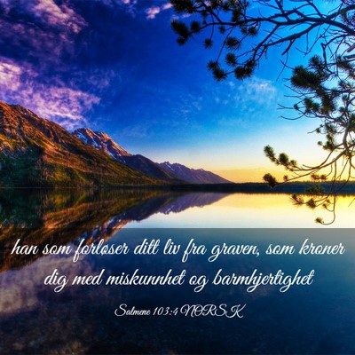 Picture 03 - Salmene 103:4 NORSK - han som forløser ditt liv fra graven, som kroner - Bible Verse Picture