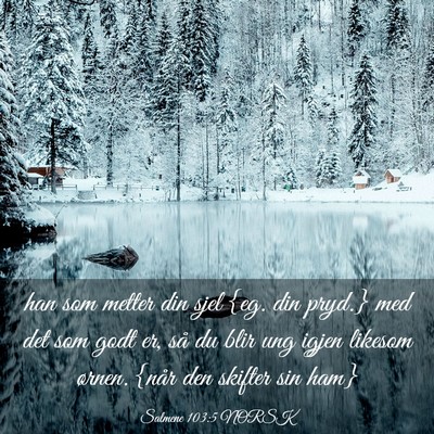 Picture 03 - Salmene 103:5 NORSK - han som metter din sjel {eg. din pryd.} med det - Bible Verse Picture