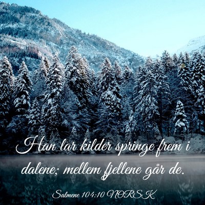 Picture 03 - Salmene 104:10 NORSK - Han lar kilder springe frem i dalene; mellem - Bible Verse Picture