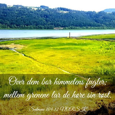 Picture 03 - Salmene 104:12 NORSK - Over dem bor himmelens fugler; mellem grenene lar - Bible Verse Picture