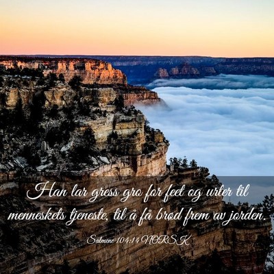 Picture 03 - Salmene 104:14 NORSK - Han lar gress gro for feet og urter til - Bible Verse Picture