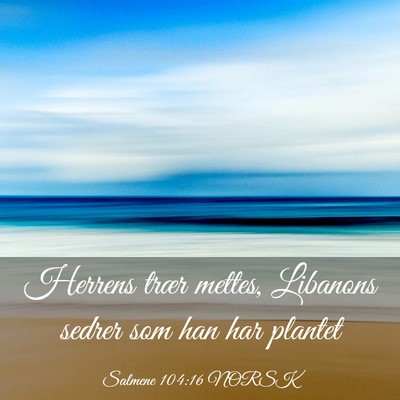 Picture 03 - Salmene 104:16 NORSK - Herrens trær mettes, Libanons sedrer som han har - Bible Verse Picture