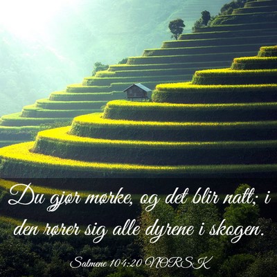 Picture 03 - Salmene 104:20 NORSK - Du gjør mørke, og det blir natt; i den rører - Bible Verse Picture