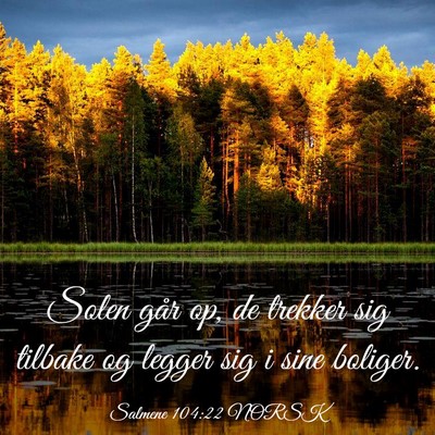 Picture 03 - Salmene 104:22 NORSK - Solen går op, de trekker sig tilbake og legger - Bible Verse Picture