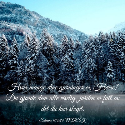 Picture 03 - Salmene 104:24 NORSK - Hvor mange dine gjerninger er, Herre! Du gjorde - Bible Verse Picture