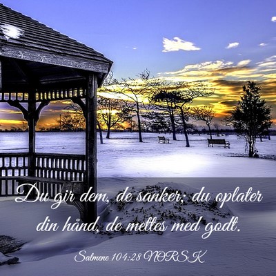 Picture 03 - Salmene 104:28 NORSK - Du gir dem, de sanker; du oplater din hånd, de - Bible Verse Picture