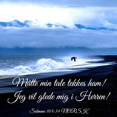 Picture 03 - Salmene 104:34 NORSK - Måtte min tale tekkes ham! Jeg vil glede mig i - Bible Verse Picture