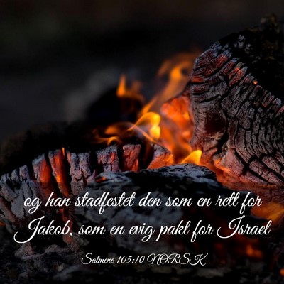 Picture 03 - Salmene 105:10 NORSK - og han stadfestet den som en rett for Jakob, som - Bible Verse Picture