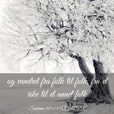 Picture 03 - Salmene 105:13 NORSK - og vandret fra folk til folk, fra et rike til et - Bible Verse Picture