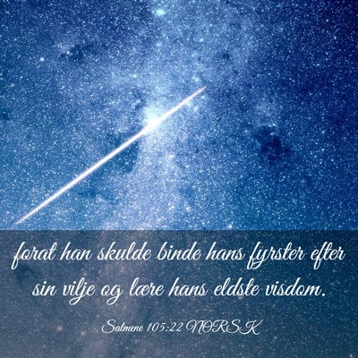 Picture 03 - Salmene 105:22 NORSK - forat han skulde binde hans fyrster efter sin - Bible Verse Picture