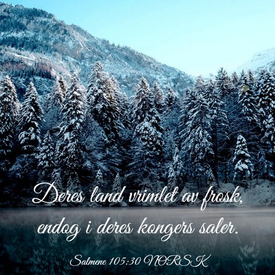Picture 03 - Salmene 105:30 NORSK - Deres land vrimlet av frosk, endog i deres - Bible Verse Picture