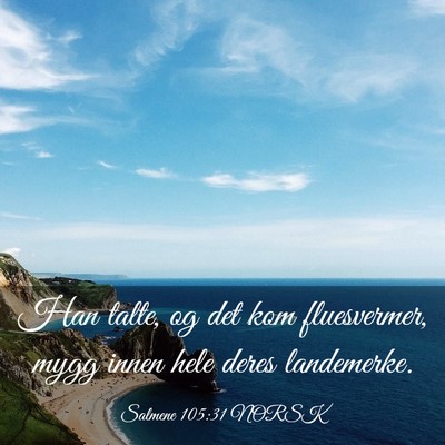 Picture 03 - Salmene 105:31 NORSK - Han talte, og det kom fluesvermer, mygg innen - Bible Verse Picture
