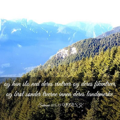Picture 03 - Salmene 105:33 NORSK - og han slo ned deres vintrær og deres - Bible Verse Picture