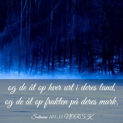 Picture 03 - Salmene 105:35 NORSK - og de åt op hver urt i deres land, og de åt op - Bible Verse Picture