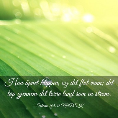 Picture 03 - Salmene 105:41 NORSK - Han åpnet klippen, og det fløt vann; det løp - Bible Verse Picture
