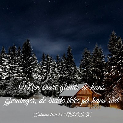 Picture 03 - Salmene 106:13 NORSK - Men snart glemte de hans gjerninger, de bidde - Bible Verse Picture