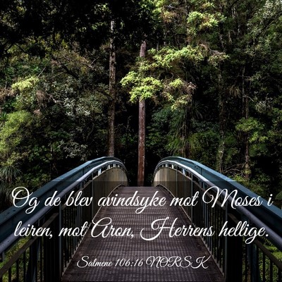 Picture 03 - Salmene 106:16 NORSK - Og de blev avindsyke mot Moses i leiren, mot - Bible Verse Picture
