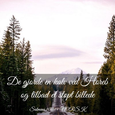 Picture 03 - Salmene 106:19 NORSK - De gjorde en kalv ved Horeb og tilbad et støpt - Bible Verse Picture