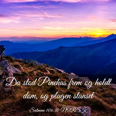 Picture 03 - Salmene 106:30 NORSK - Da stod Pinehas frem og holdt dom, og plagen - Bible Verse Picture