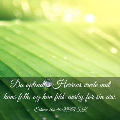 Picture 03 - Salmene 106:40 NORSK - Da optendtes Herrens vrede mot hans folk, og han - Bible Verse Picture