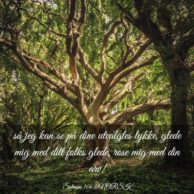 Picture 03 - Salmene 106:5 NORSK - så jeg kan se på dine utvalgtes lykke, glede - Bible Verse Picture