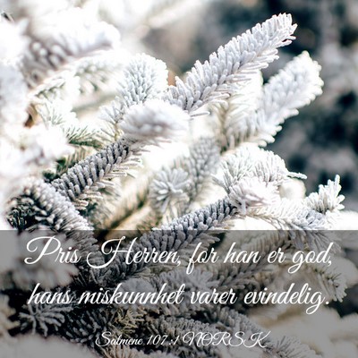 Picture 03 - Salmene 107:1 NORSK - Pris Herren, for han er god, hans miskunnhet - Bible Verse Picture